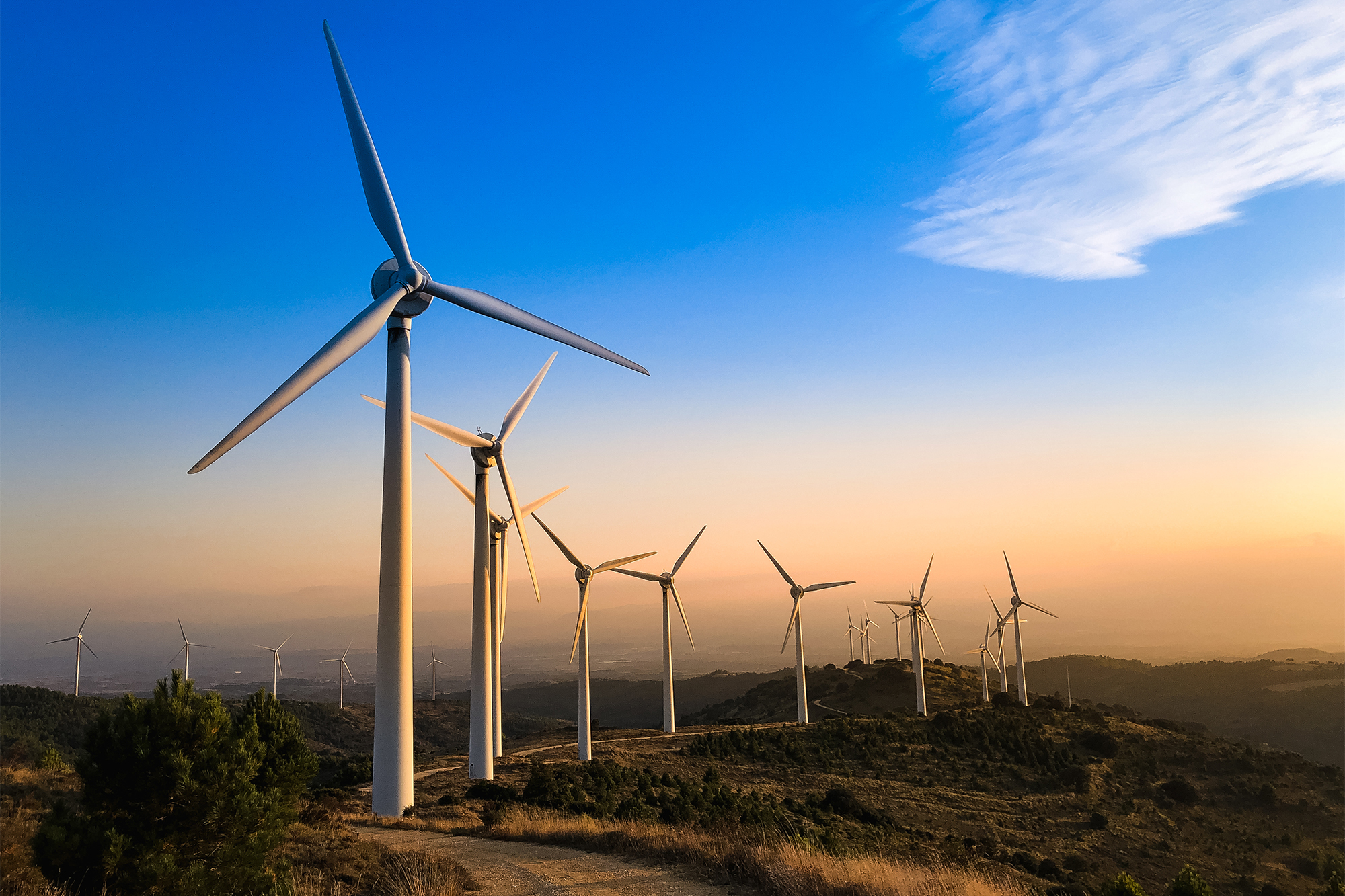 Renewable Energy System Solar  – Renewable Energy Wind Solar recenzja i cena
